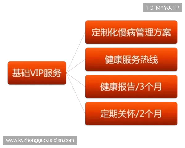 云开国际版：灵活的定制化功能满足不同企业的国际化发展需求