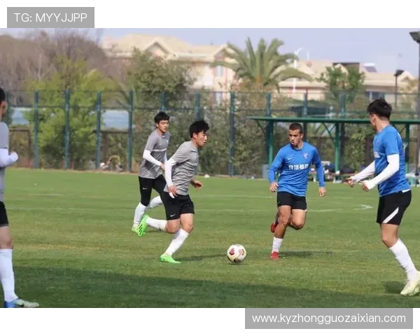 开云中国体育app最新功能介绍与使用指南