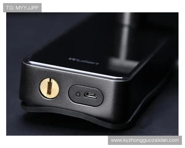 开云app手机在线登录安全性分析保障玩家账号信息安全的实用技巧