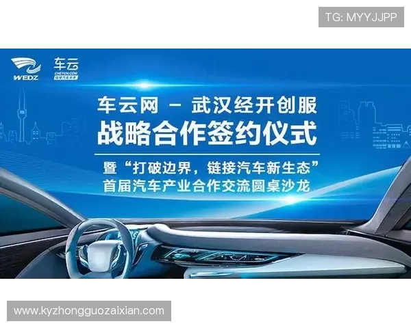 开云下载会员续费流程详解确保你的会员权益持续不中断