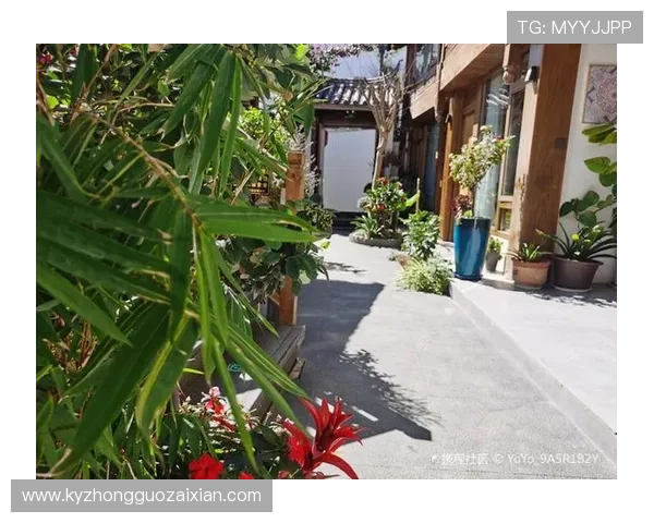 探索开云官方手机版的独特优势,提升购物效率的秘密