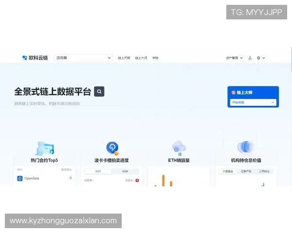 用户体验分享：开云官网网页版的使用心得与评价
