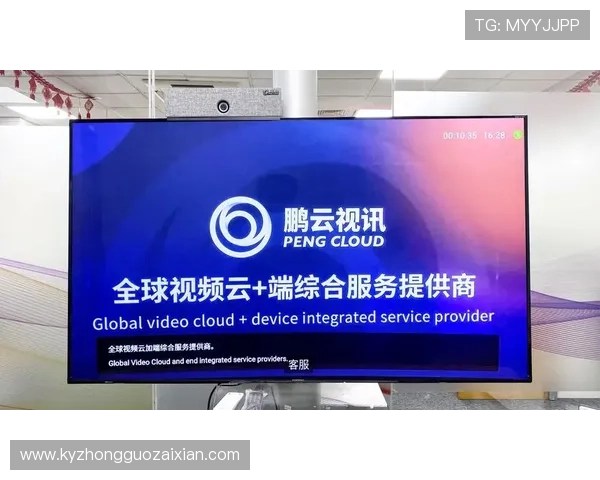 如何快速登录开云官方网站确保账号安全与个人信息保护的实用技巧