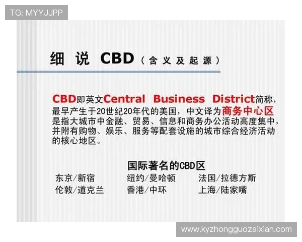 开云集团上海合作品牌及其在本地市场的推广策略分析